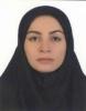 شازده کوچولو's picture
