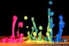 رگبار دانش's picture
